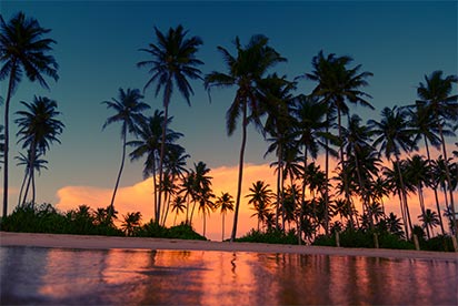 Tailandia y Vietnam